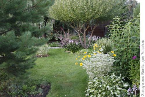 Как улучшить внешний вид готовых заборных секций из деревянного штакетника. Новая жизнь старого штакетника (как мы применили его с пользой для дачи)