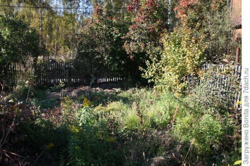 Как улучшить внешний вид готовых заборных секций из деревянного штакетника. Новая жизнь старого штакетника (как мы применили его с пользой для дачи)