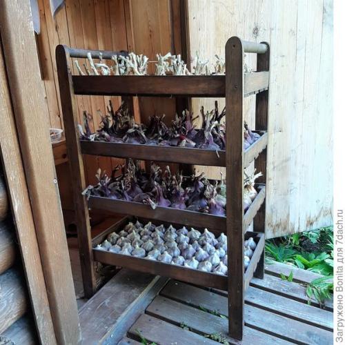 Как улучшить внешний вид готовых заборных секций из деревянного штакетника. Новая жизнь старого штакетника (как мы применили его с пользой для дачи)