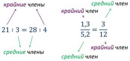 Какие признаки указывают на то что пропорции выбраны правильно. Пропорции
