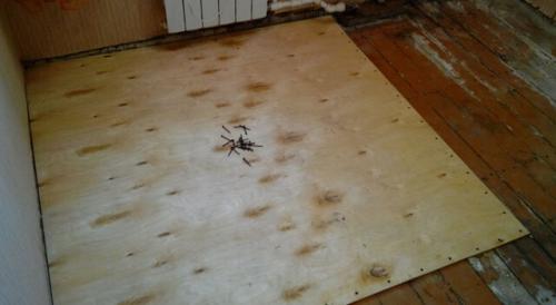 Размеры и толщина фанеры для выравнивания пола. Классификация и маркировка 01 Размеры и толщина фанеры для выравнивания пола. Классификация и маркировка 01