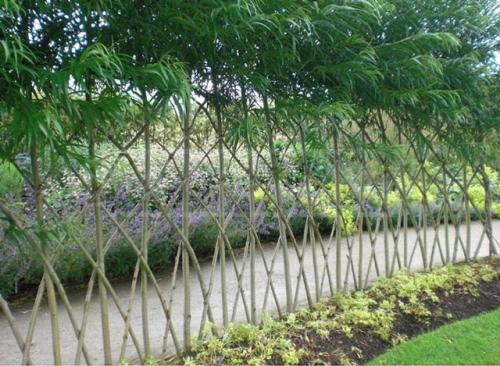 Заборы и изгороди деревянные для частного дома: все, что нужно знать о выборе и установке 02 Заборы и изгороди деревянные для частного дома: все, что нужно знать о выборе и установке 02