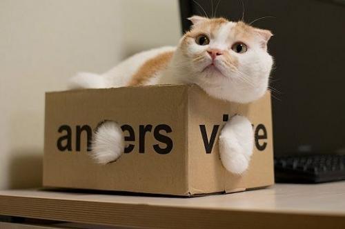 И зачем все эти ваши домики. 04