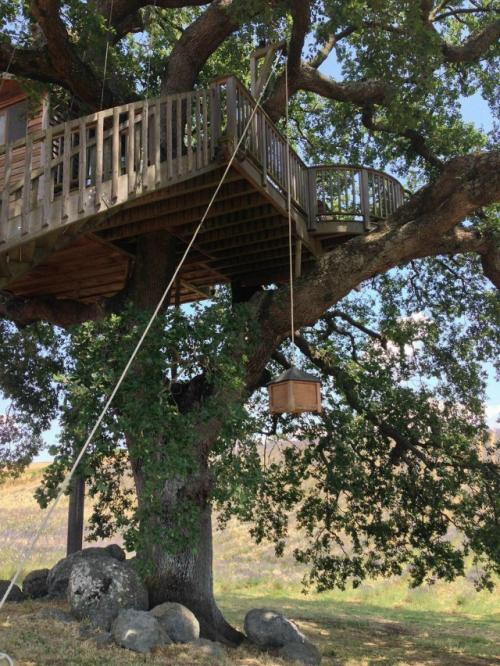 Дом на дереве в Тоскане - пример того, как архитектура может быть продолжением природы. 04