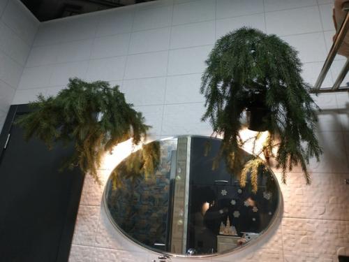 Наконец - то встретила новый год дома и с ремонтом!