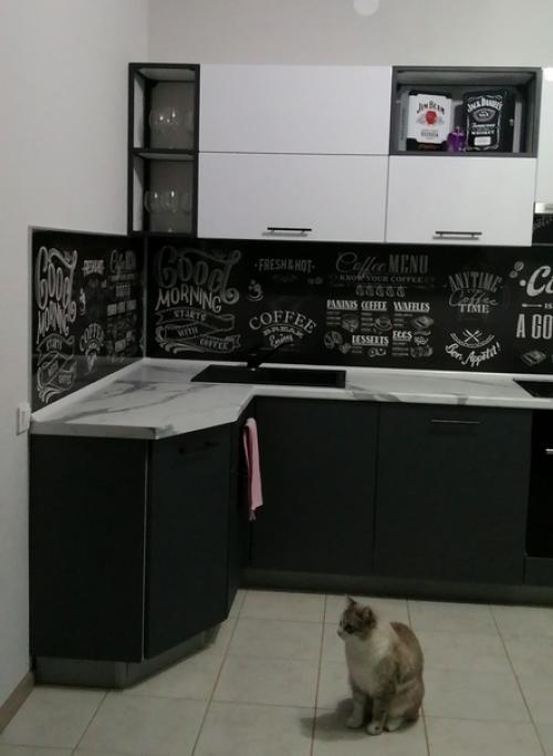 Целиком к сожалению не входит в объектив, ну так как-то.