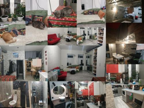 Наконец - то встретила новый год дома и с ремонтом! 01