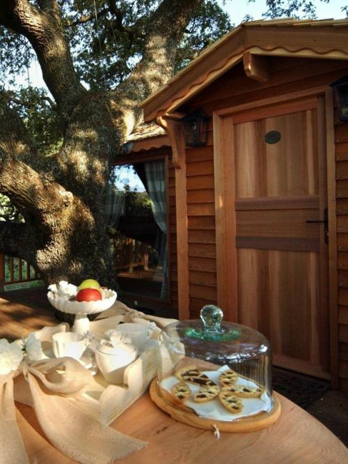 Дом на дереве в Тоскане - пример того, как архитектура может быть продолжением природы. 03