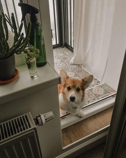 Когда взяли себя в руки. 06