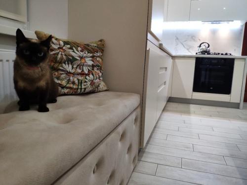 Наша кухня. На днях закончили сборку. 06