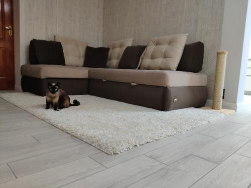 Наша кухня. На днях закончили сборку. 09