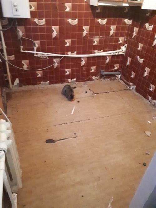 Ремонт руками молодого человека 19 лет. 01