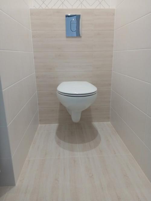 Вот как мы с мужем придумали сделать ремонт санузлов. 02