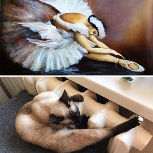 Классная идея на время самоизоляции. 05