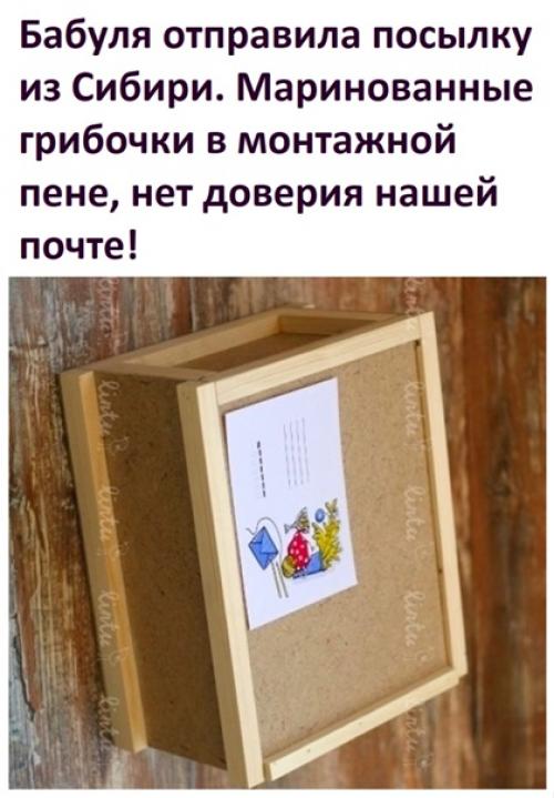 Зато все грибочки и огурчики в целости и сохранности пришли.