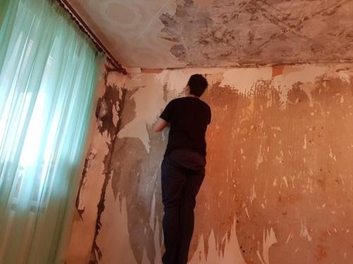 Ремонт в гостиной руками мамы и сына.