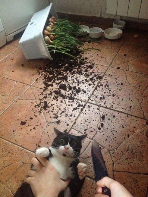 Ну а кто рассчитывал, что будет легко. 02