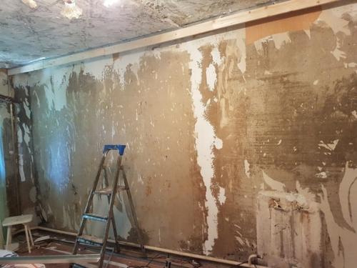 Ремонт в гостиной руками мамы и сына. 01