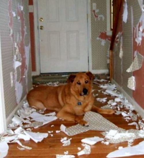 Ну а кто рассчитывал, что будет легко. 03