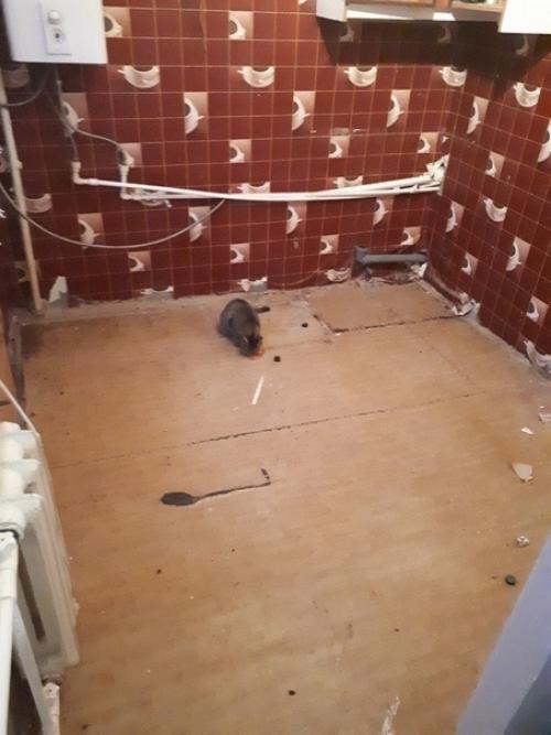 Очень даже симпатичная кухня получилась. 01