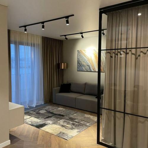 Однокомнатная квартира с выделенной спальной зоной.