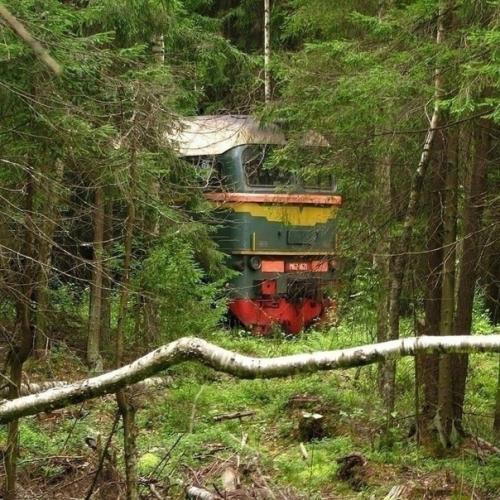 Фотографии, которые напоминают нам о том, что время не ждёт нас. 08