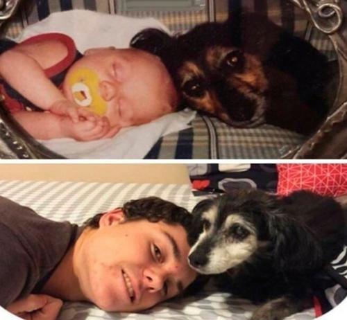 Фотографии, которые напоминают нам о том, что время не ждёт нас. 06