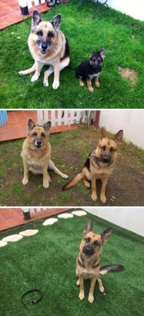 Фотографии, которые напоминают нам о том, что время не ждёт нас. 09