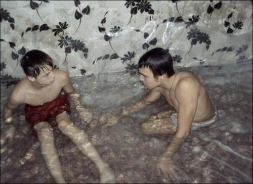 Об их интеллекте, думаю, не стоит рассуждать. 03