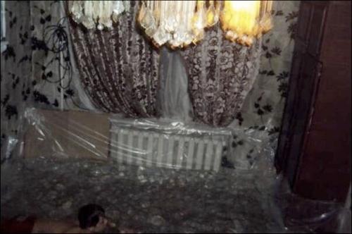 Об их интеллекте, думаю, не стоит рассуждать. 02