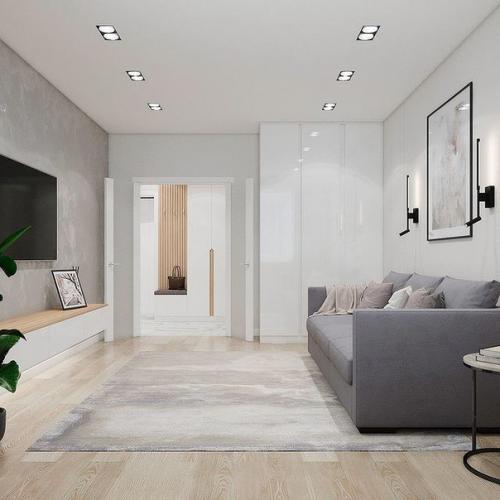 Сделали 2 проекта гостиной. 05