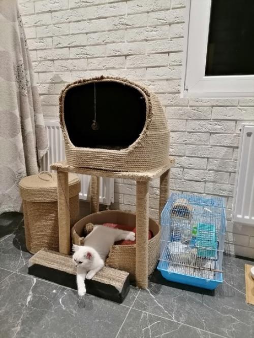 Отличный ремонт от нашей подписчицы. 03