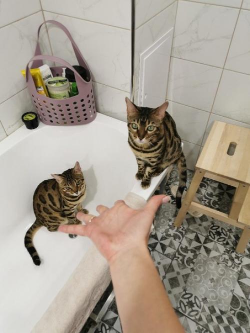 Ремонт санузла от подписчицы. 03