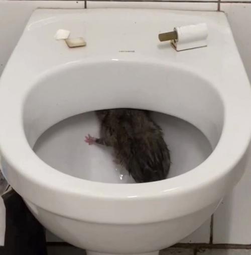 Я очень надеюсь, что в наших краях такое невозможно. 02