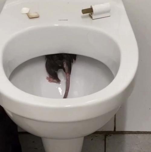 Я очень надеюсь, что в наших краях такое невозможно. 01