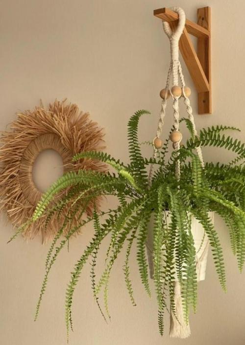 В прихожей не место растениям? 03