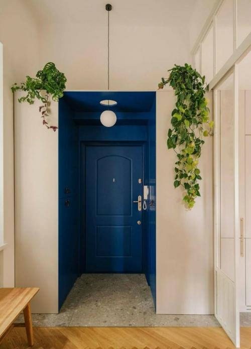 В прихожей не место растениям? 04