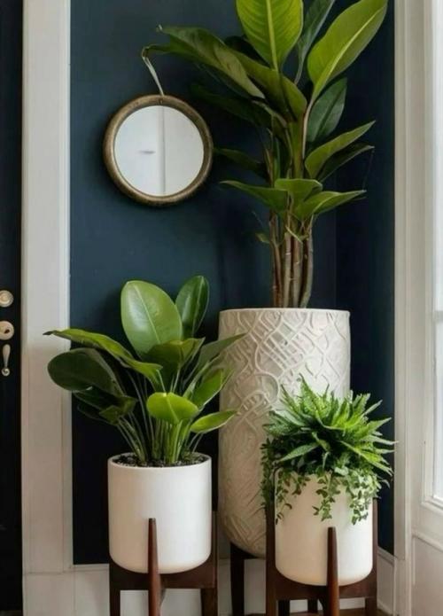 В прихожей не место растениям?  