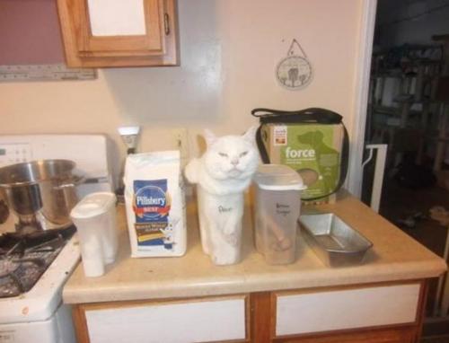 Самый лучший элемент интерьера - это котики. 03