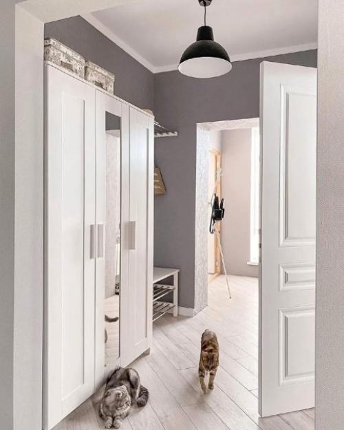 Коты, конечно, просто прелесть. 05