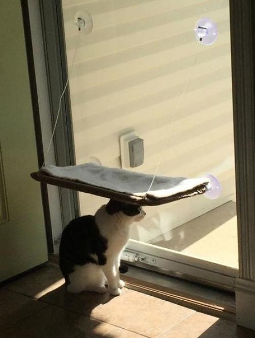 Самый лучший элемент интерьера - это котики. 01