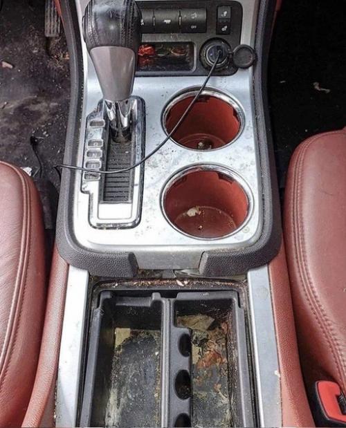 Фотографии, которые впечатляют. 02