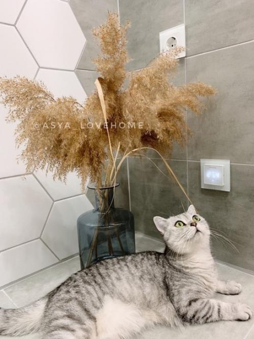 Даже не знаю, что тут больше заслуживает внимания: котейка или caнyзeл. 04