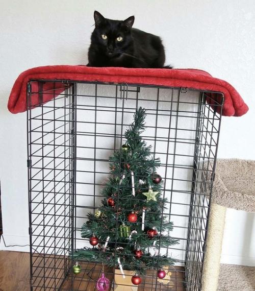 А вы уже придумали, как будете спасать свою ёлочку от кота. 02