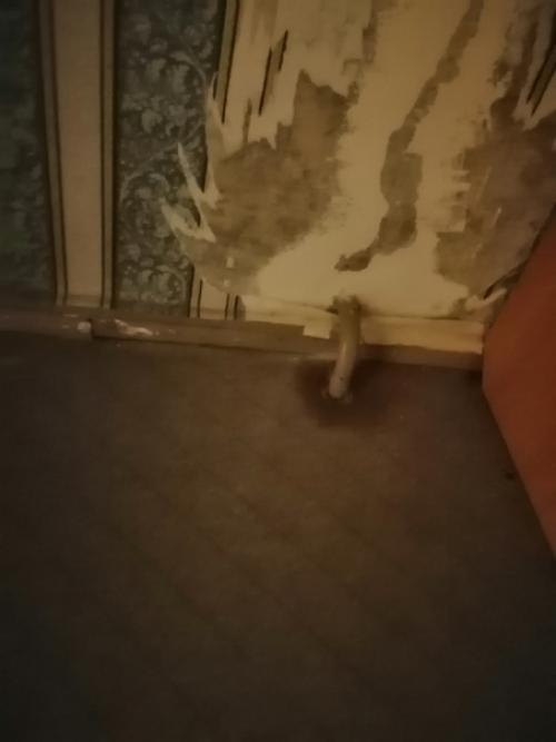 Нужен совет подписчику: 02