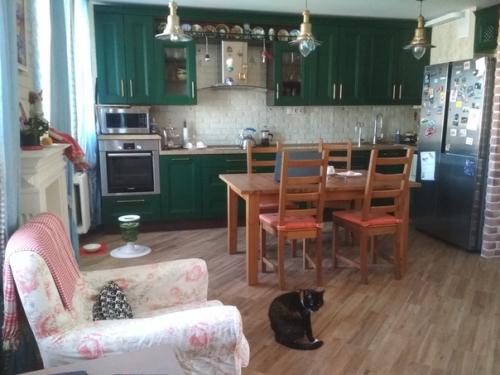 Моя кухня - гостиная (28 м 2. зона кухни. 06