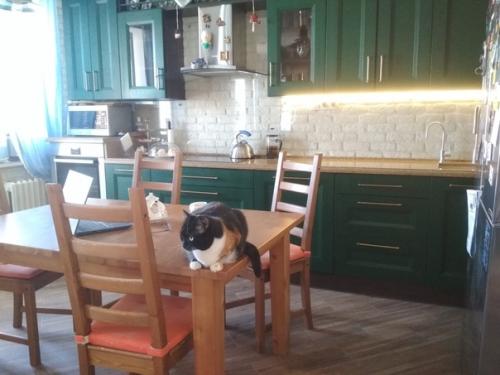 Моя кухня - гостиная (28 м 2. зона кухни. 07