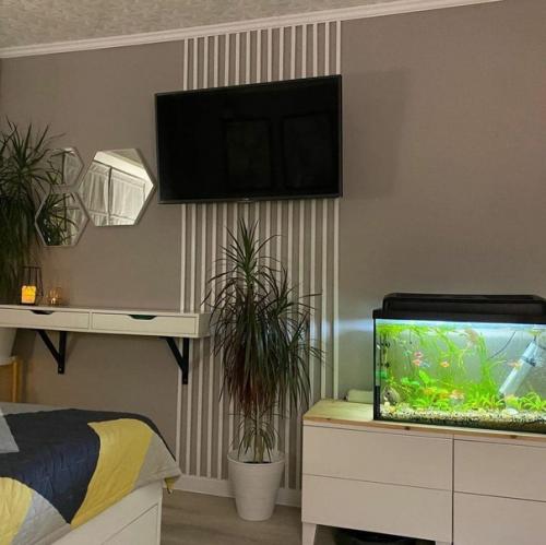 Зонирование в однушке на спальную и гостиную зоны. 03