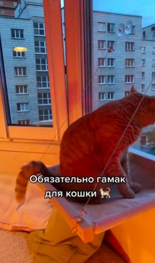 Главное, что коту очень понравилось. 04