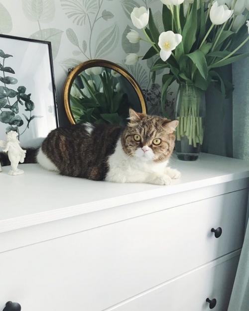 Вот какой замечательный интерьер от наших подписчиков. 08